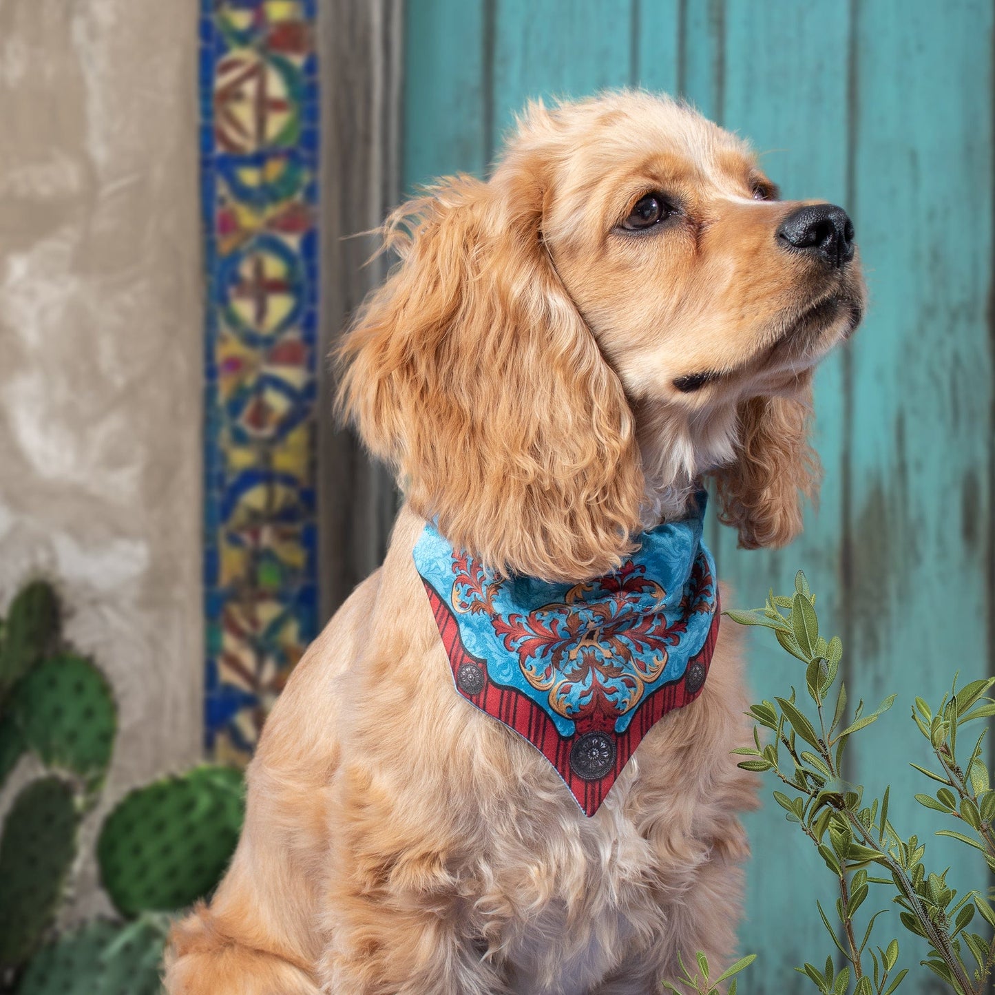 Sedona Cat/Dog Mini Bandana