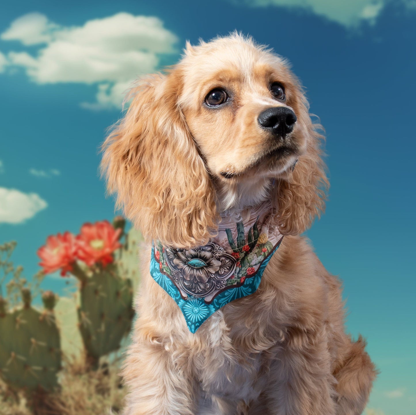 Turquoise Concho Cat/Dog Mini Bandana