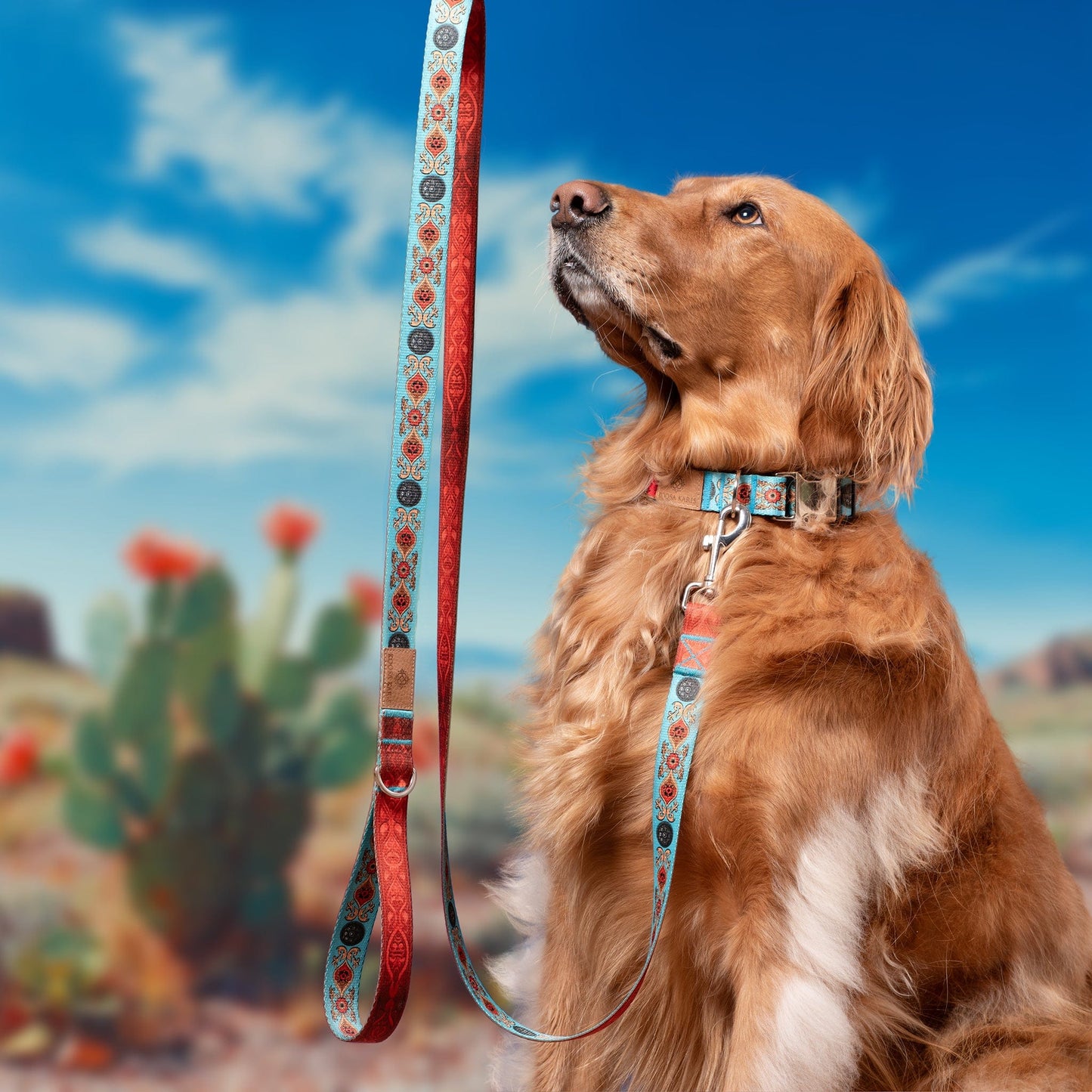 Sedona Dog Leash