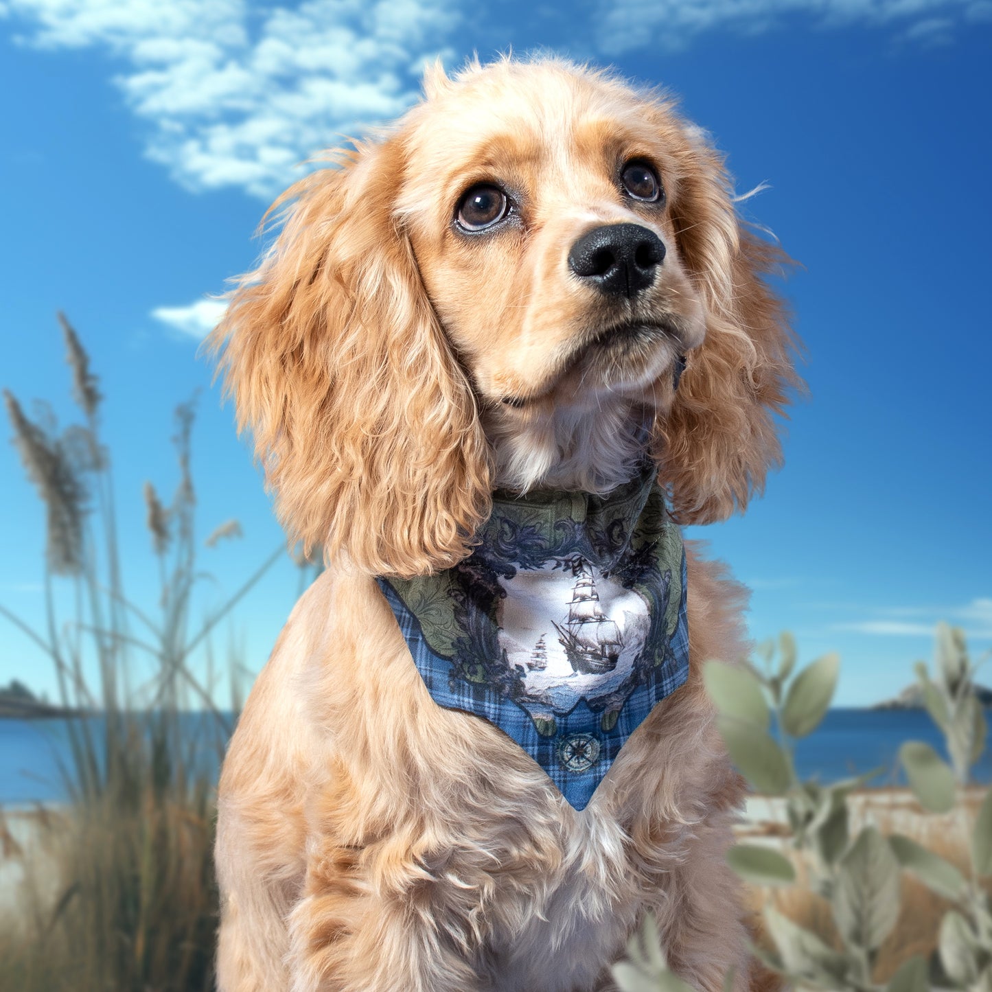 Seafaring Cat/Dog Bandana