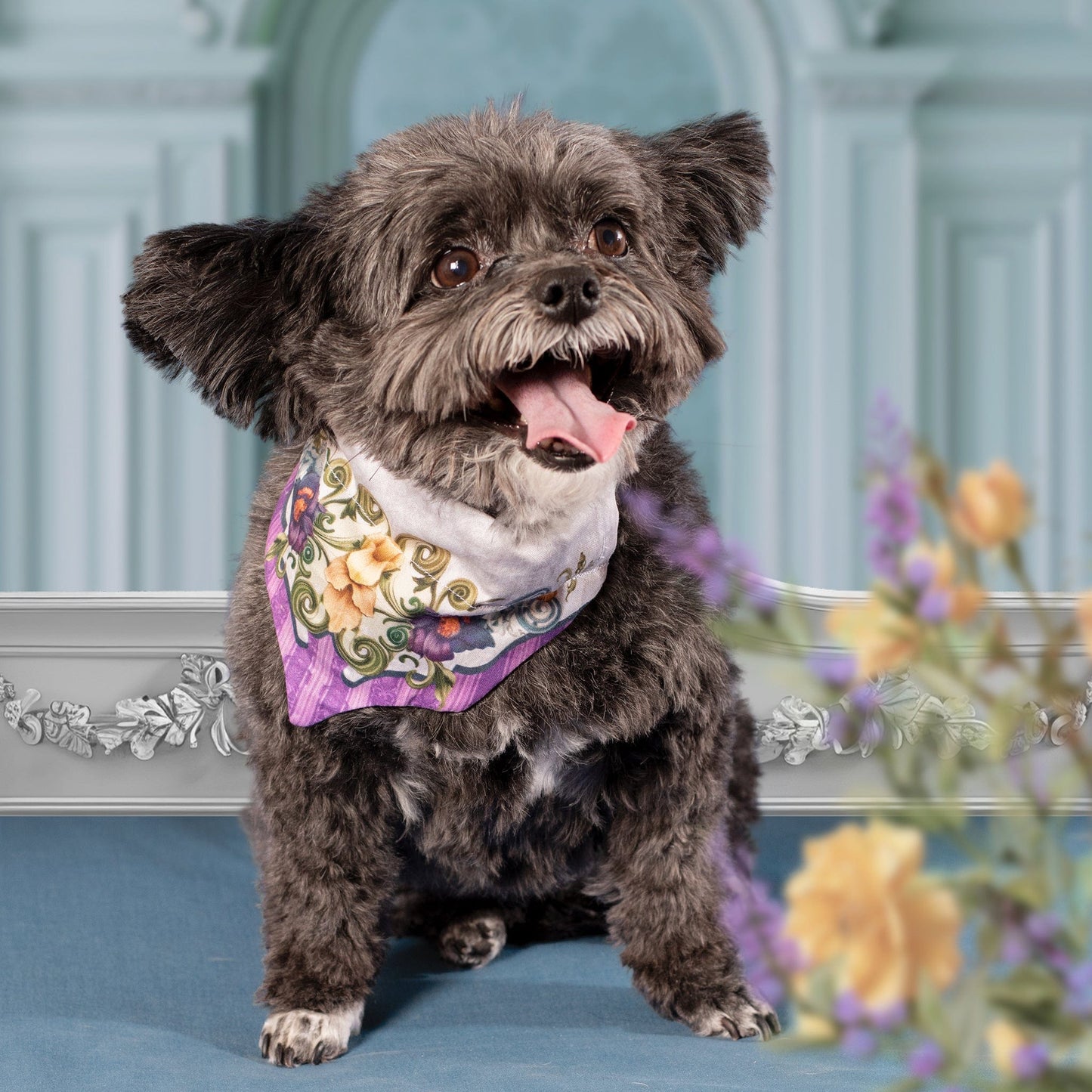 Adelaide Cat/Dog Bandana