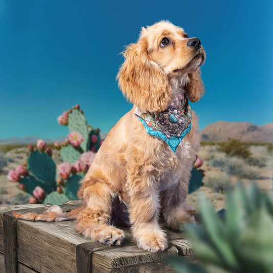 Turquoise Concho Cat/Dog Mini Bandana