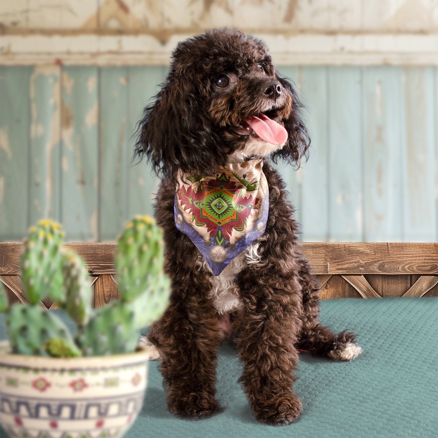 Pueblo Cat/Dog Bandana