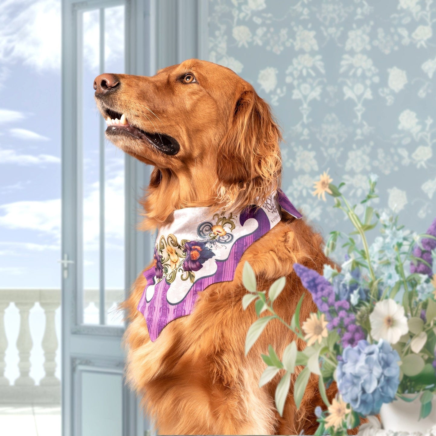 Golden Retriever wearing a white dog bandana with a purple, blue and yellow floral pattern design