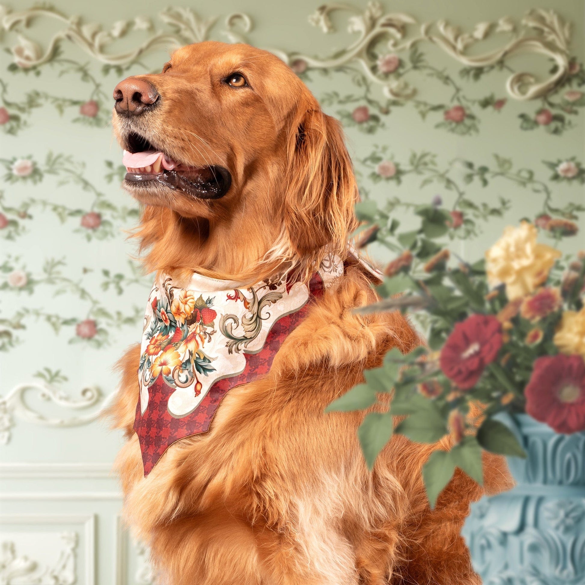 Golden Retriever wearing an ivory dog bandana with a red, gold and blue floral design 