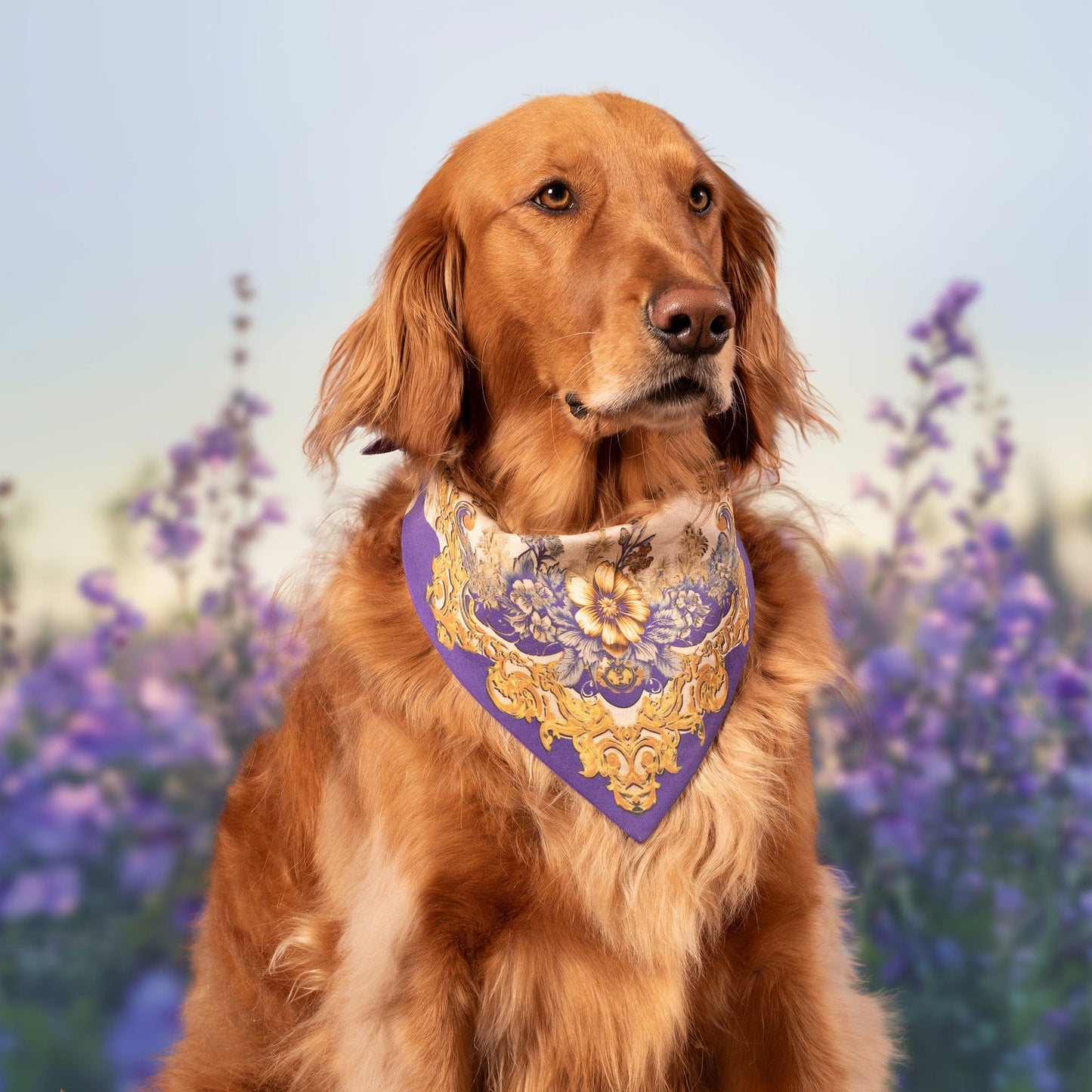 Bohemian Bliss Dog Bandana