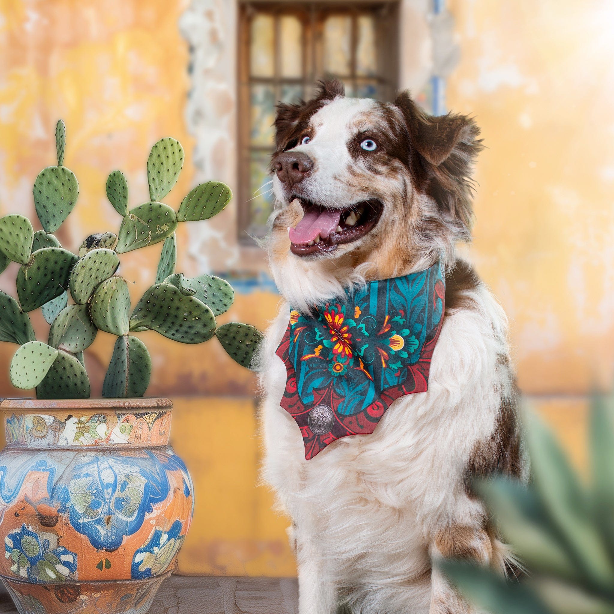 Australian shepherd bandana hotsell