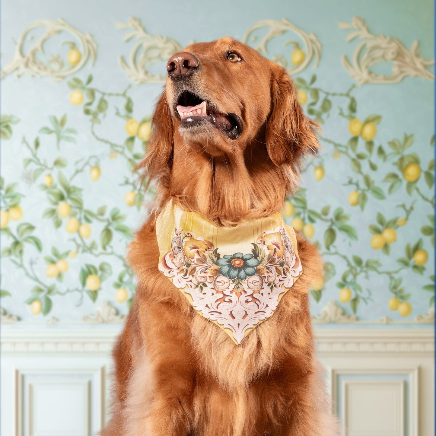 Lemonella Dog Bandana