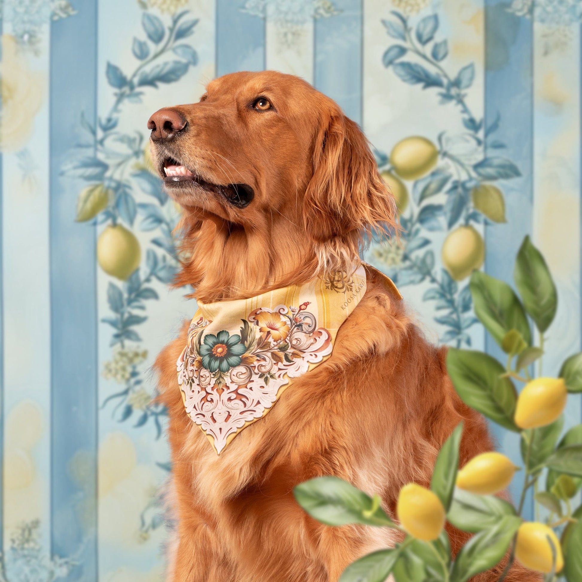 Golden Retriever wearing a yellow dog bandana with an ivory and teal floral and lace pattern design 