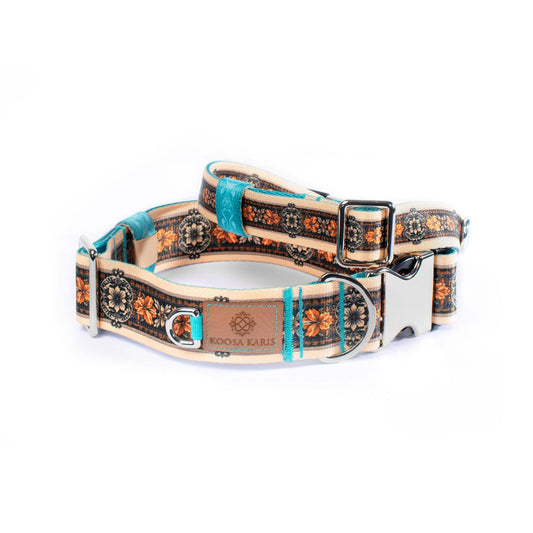 Gold Rush Dog Collar