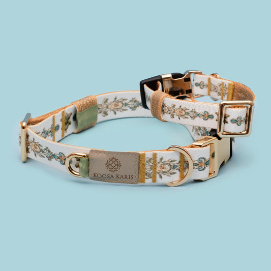 Lemonella Dog Collar