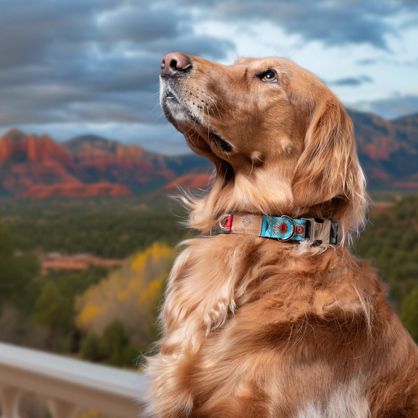 Sedona Dog Collar