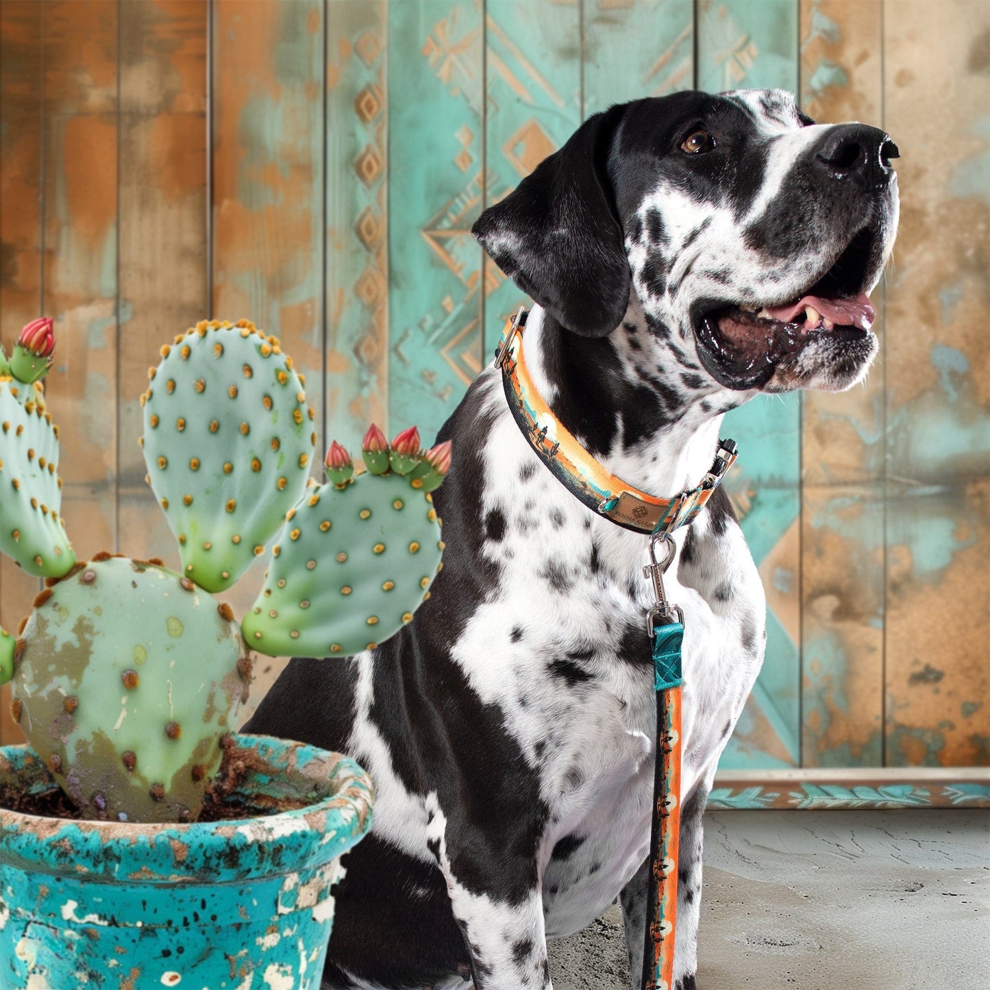 Sunset Cowboy Dog Collar