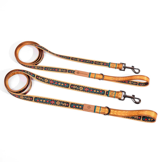 Esperanza Dog Leash