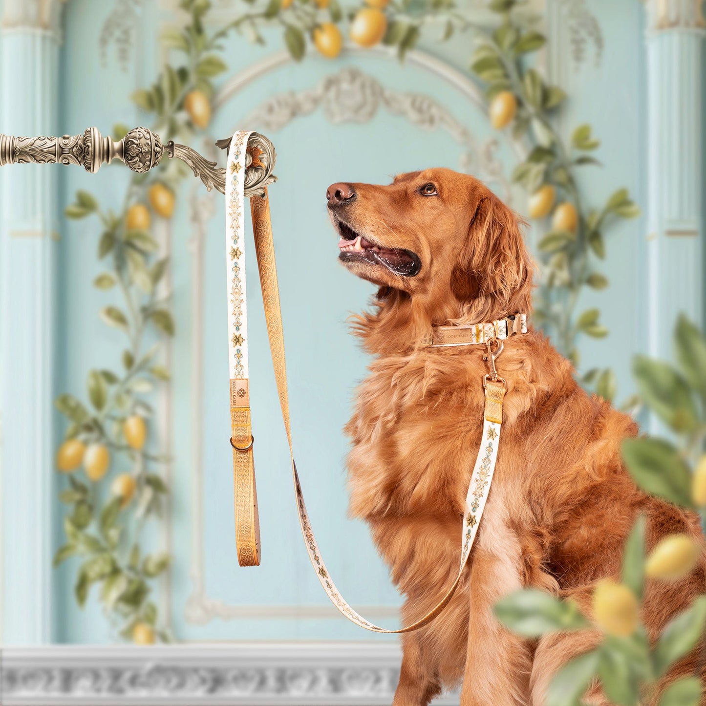 Lemonella Dog Leash