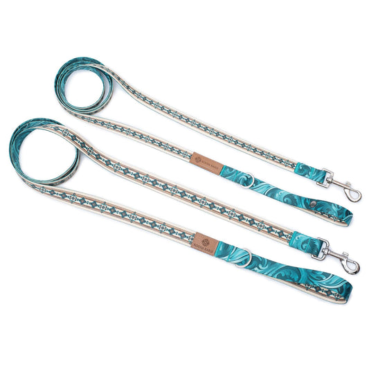 Moonlit Mesa Dog Leash